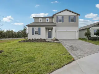 New construction Single-Family house 9017 Venetia Ct, Palmetto, FL 34221 plan Roma - image