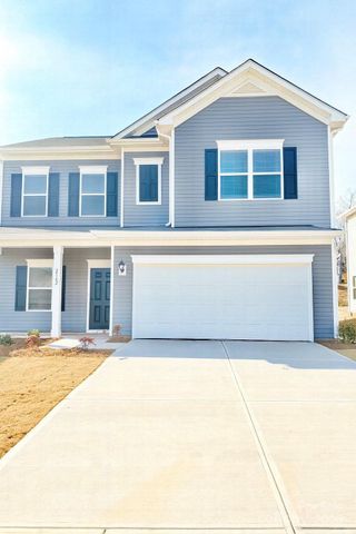 New construction Single-Family house 2162 Catawba Trace Dr, Catawba, NC 28609 - image