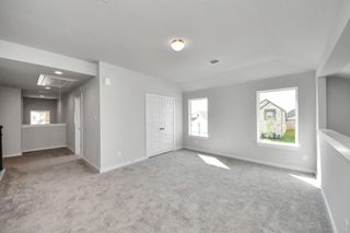 New construction Single-Family house 12003 Maple Oak Dr, Houston, TX 77066 plan Plan 252 - image