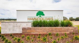 New construction house 796 Sunshower Dr, Lady Lake, FL 32159 plan Wilmington - image