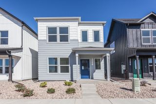 New construction Single-Family house 3248 Crusader St, Fort Collins, CO 80524 plan Sage - image