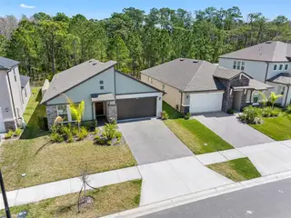 New construction Single-Family house 18178 Serene Lake Lp, Lutz, FL 33548 plan Augusta - image