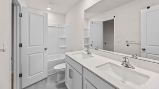 New construction Single-Family house 3105 Sedge Dr, Winterville, NC 28590 plan Wilmington - image