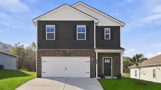New construction Single-Family house 305 Chimney View Lp, Blountville, TN 37617 plan Robie - image