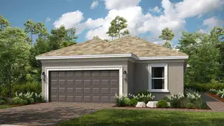 New construction Single-Family house 3816 Immacolata Wy, Wesley Chapel, FL 33543 plan Arezzo - image