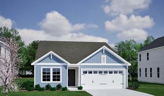 New construction Single-Family house 205 Buckthorn Dr, Youngsville, NC 27596 - image