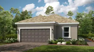 New construction Single-Family house 3946 Immacolata Wy, Wesley Chapel, FL 33543 plan Arezzo - image