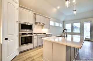 New construction Single-Family house 12197 Heartvine Pkwy, Schertz, TX 78154 plan Palm - image