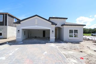 New construction Single-Family house 10712 New Morning Drive, Tampa, FL 33647 Madeira II- photo