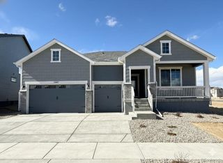 New construction Single-Family house 13817 Daffodil Wy, Parker, CO 80134 plan Summit - image