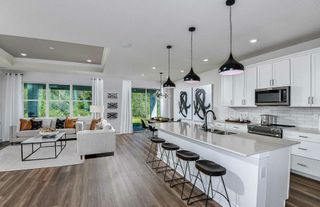 New construction Single-Family house 33323 Herds Hallow Wy, Wesley Chapel, FL 33545 plan Winthrop - image