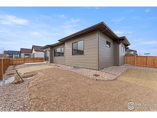 New construction Single-Family house 783 Canoe Birch Dr, Windsor, CO 80550 plan Durango - image
