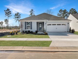 New construction Single-Family house 2700 Silverweed Ct, Leland, NC 28479 plan Prestige - image