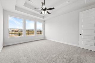 New construction house 12407 Eastland County St, Cypress, TX 77433 plan The Albany IX - image