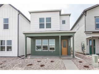 New construction Single-Family house 3255 Comet St, Fort Collins, CO 80524 - image