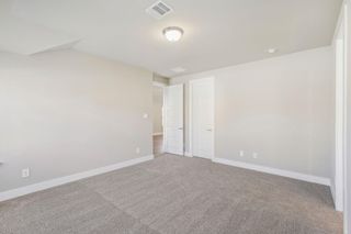 New construction Single-Family house 116 Bay Bridge Ct, Montgomery, TX 77316 plan The Oleander (C401) - image