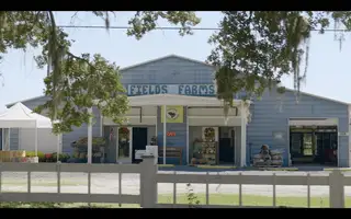 New construction  house 609 Du Bois Dr, Johns Island, SC 29455 plan The Stono - image