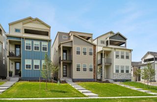 New construction Single-Family house 3089 Curly Grove, Colorado Springs, CO 80922 plan Primrose - image