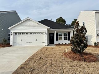 New construction Single-Family house 3647 Stedding Pl, Lexington, SC 29073 plan Brunswick - image