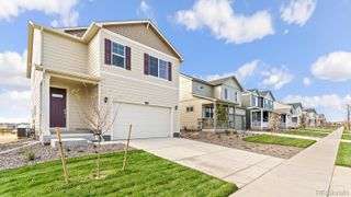 New construction Single-Family house 841 Trumpet Ln, Windsor, CO 80550 plan Elder - image