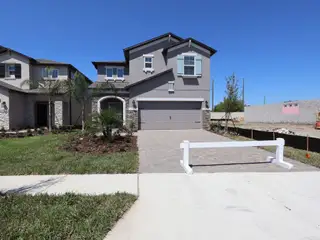 New construction Single-Family house 3373 Fall Harvest Dr, Zephyrhills, FL 33540 plan Castellana - image