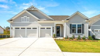 New construction Single-Family house 96 Ballyfin Wy, Newnan, GA 30263 plan Paige - image