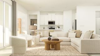 New construction Single-Family house 9736 Minnow Ray Dr, Land O' Lakes, FL 34638 plan Morningtide II - image