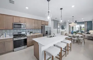 New construction Single-Family house 14752 Sunlit Cir, Parrish, FL 34219 plan Hallmark - image