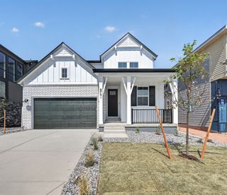 New construction Single-Family house 8701 Pennycress Dr, Littleton, CO 80125 plan Estes - image