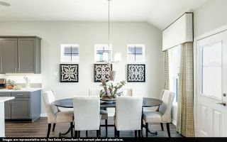 New construction Single-Family house 23522 Malbec Dr, Alvin, TX 77511 plan Fitzgerald - image