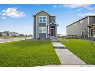 New construction  house 384 Tailholt Ave, Severance, CO 80550 plan NEW HAVEN - image