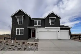 New construction Single-Family house 3264 Fervid St, Castle Rock, CO 80108 plan Windsor - image
