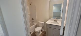 New construction Single-Family house 1757 Canopy Dr, Sumter, SC 29150 plan Meadowbrook - image