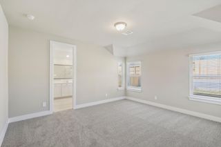 New construction Single-Family house 116 Bay Bridge Ct, Montgomery, TX 77316 plan The Oleander (C401) - image