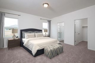 New construction Single-Family house 15802 Lone Juniper Dr, Crosby, TX 77532 plan Glimmer - image