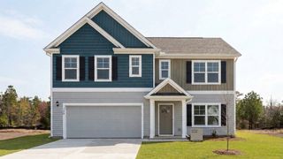 New construction Single-Family house 1141 Pampas Grass Dr, Castle Hayne, NC 28429 plan Hayden - image
