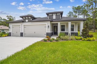 New construction Single-Family house 11303 Striped Bass Ct, New Port Richey, FL 34654 - image