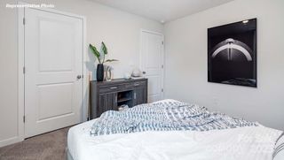 New construction Single-Family house 15110 Puffin Ct, Charlotte, NC 28215 plan Robie - image