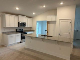 New construction  house 255 Verny Grove Ln, Leesburg, FL 34748 plan 1780 - image