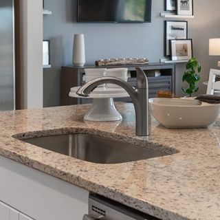 New construction  house 405 Lehamite Ct, Little River, SC 29566 plan DOVER - image