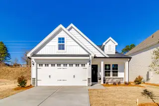 New construction Single-Family house 3631 Stedding Pl, Lexington, SC 29073 plan Brunswick - image