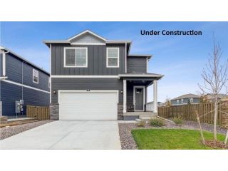 New construction Single-Family house 818 Trumpet Ln, Windsor, CO 80550 plan Elder - image