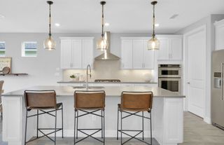 New construction Single-Family house 214 Headstream Dr, St. Johns, FL 32259 plan Stellar - image