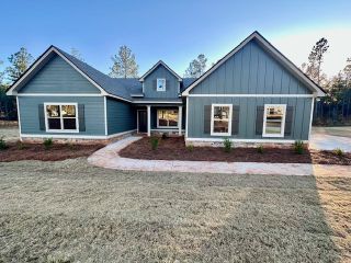 New construction Single-Family house 213 Perkins Place Dr, Hogansville, GA 30230 plan Davenport - image