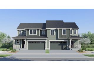 New construction Duplex house 1956 Crested Lark St, Fort Collins, CO 80528 plan Ascent - image
