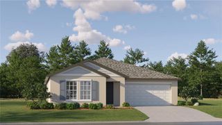 New construction Single-Family house 3653 Capital Reserve Drive, Plant City, FL 33565 Dover- photo