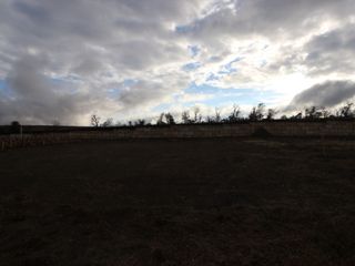 New construction Single-Family house 4501 Lava Island Dr, Austin, TX 78747 plan Caprock - Smart Series - image