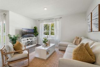 New construction Single-Family house 8553 Cape Fox Cv, Lakeland, FL 33810 plan CALI - image