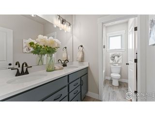 New construction Townhouse house 6233 Vernazza Wy, Unit 4, Windsor, CO 80550 plan Avalon - image