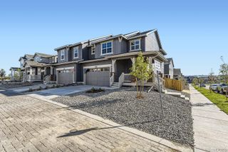 New construction Single-Family house 8982 Wintertide Court, Parker, CO 80134 Plateau- photo